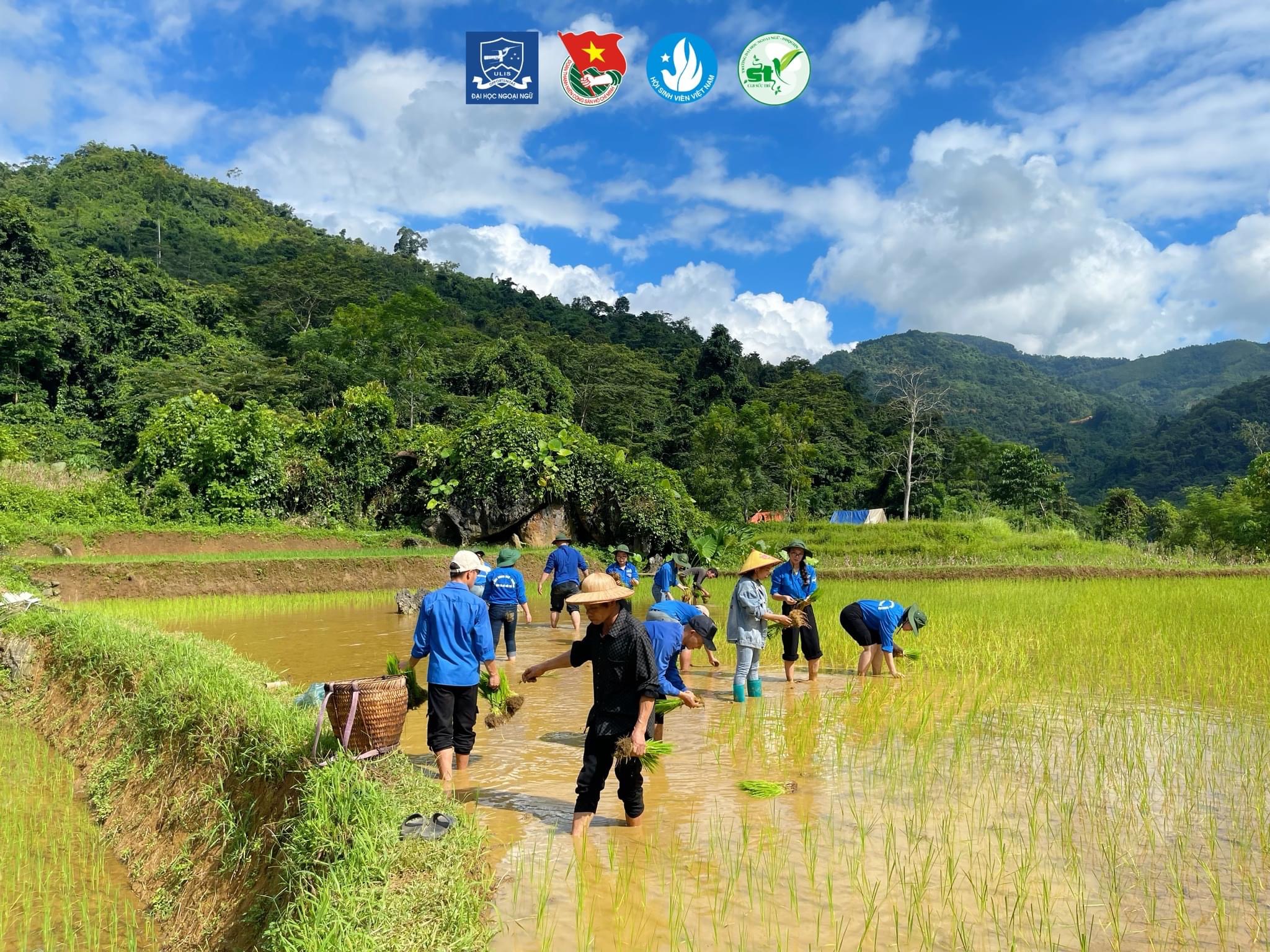 Khoảnh khắc thắp sáng đường quê